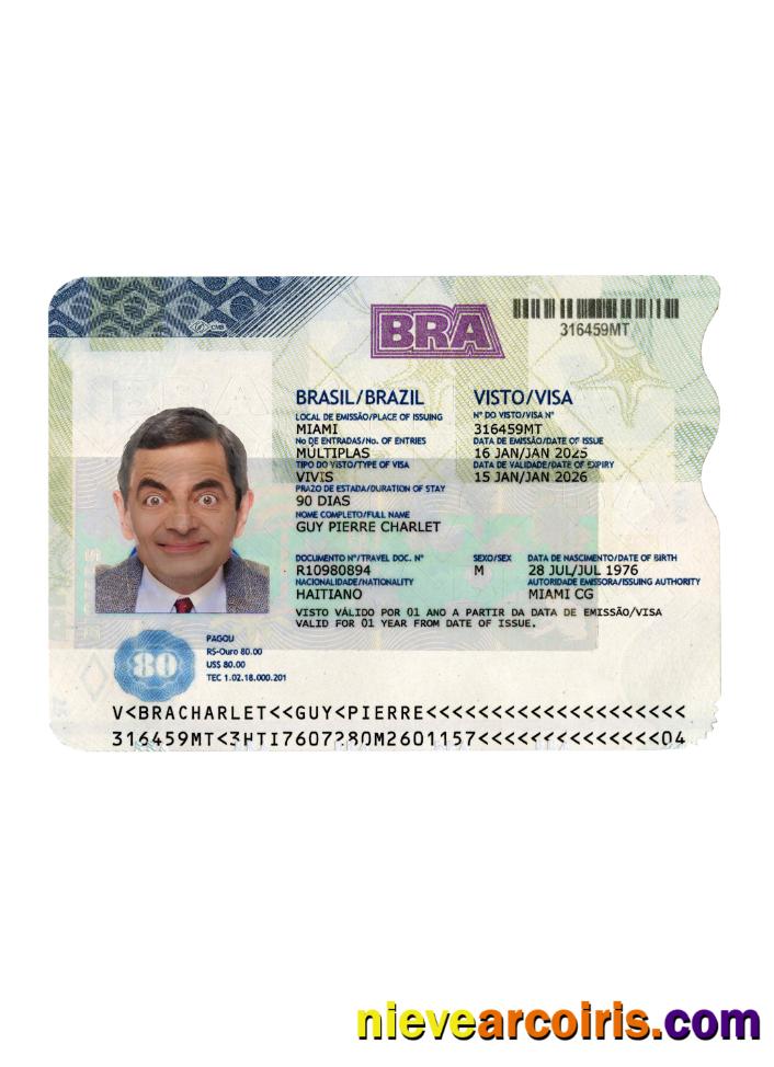 Brazil travel visa 2025-present